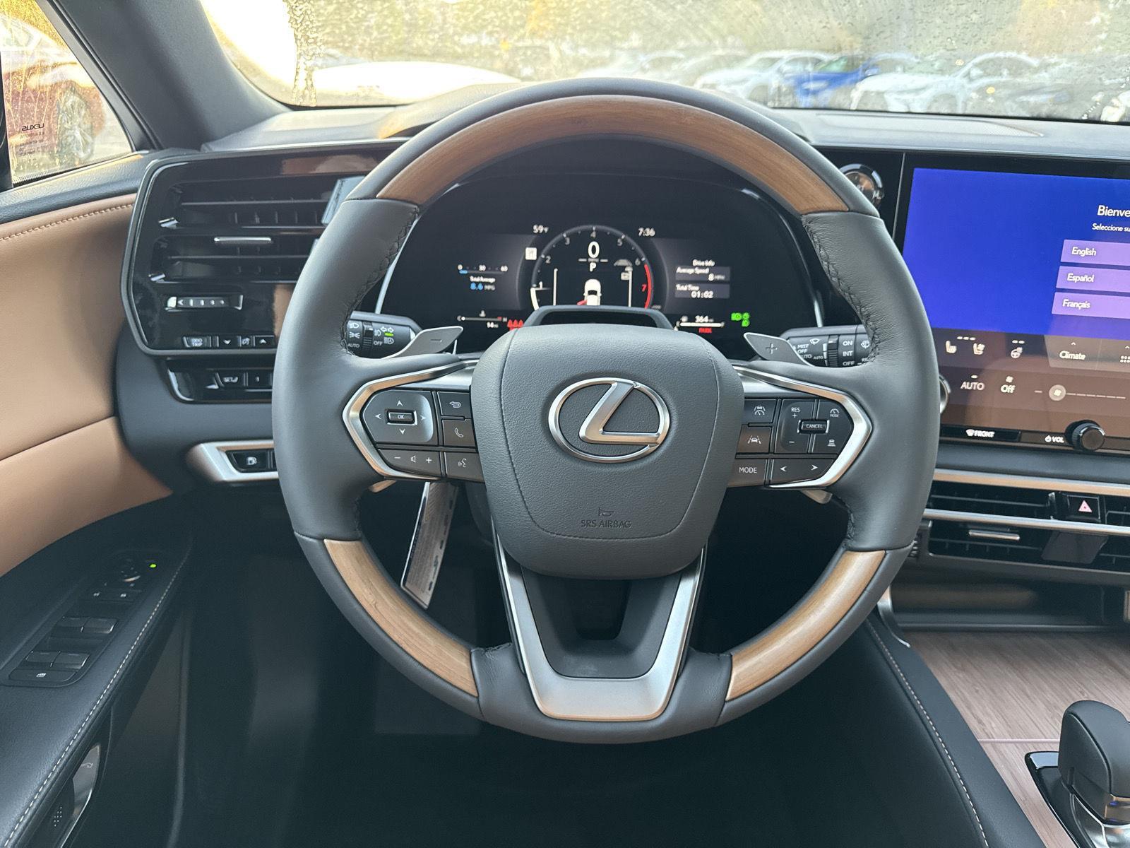 2025 Lexus RX Premium AWD photo 17