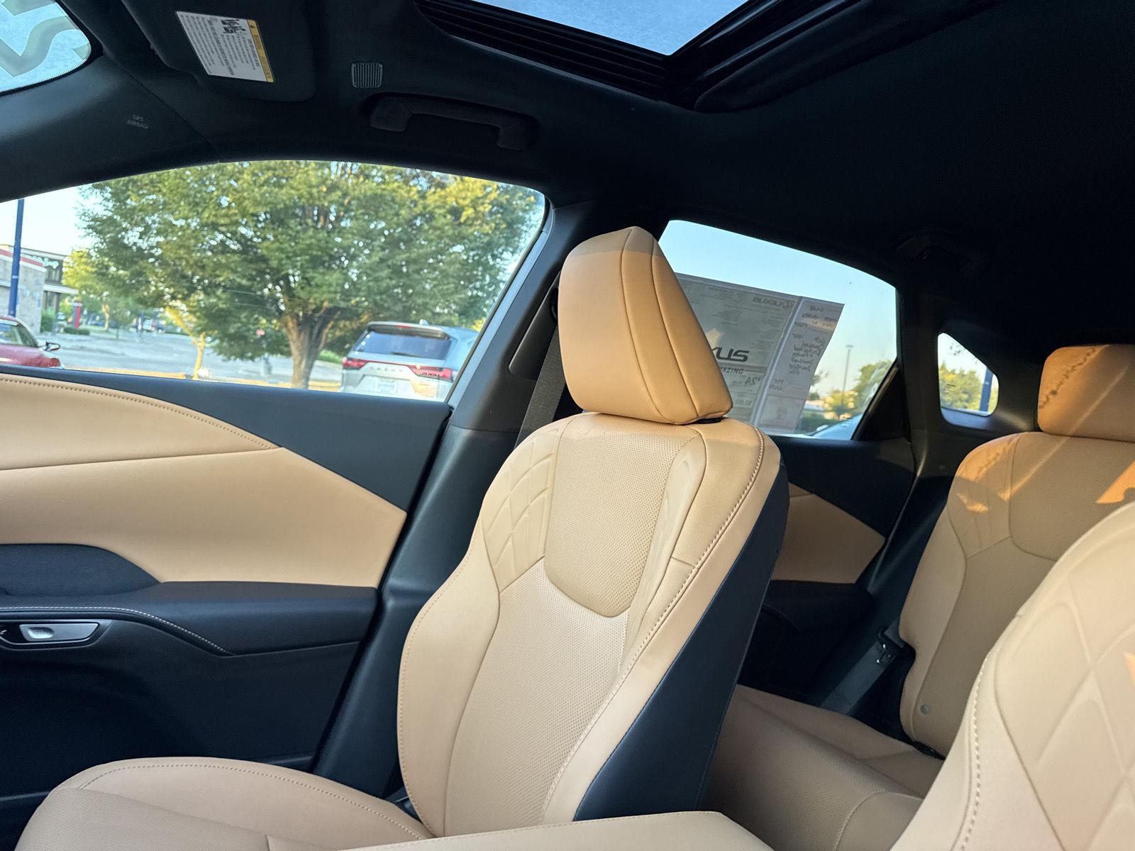 2025 Lexus RX Premium AWD photo 19