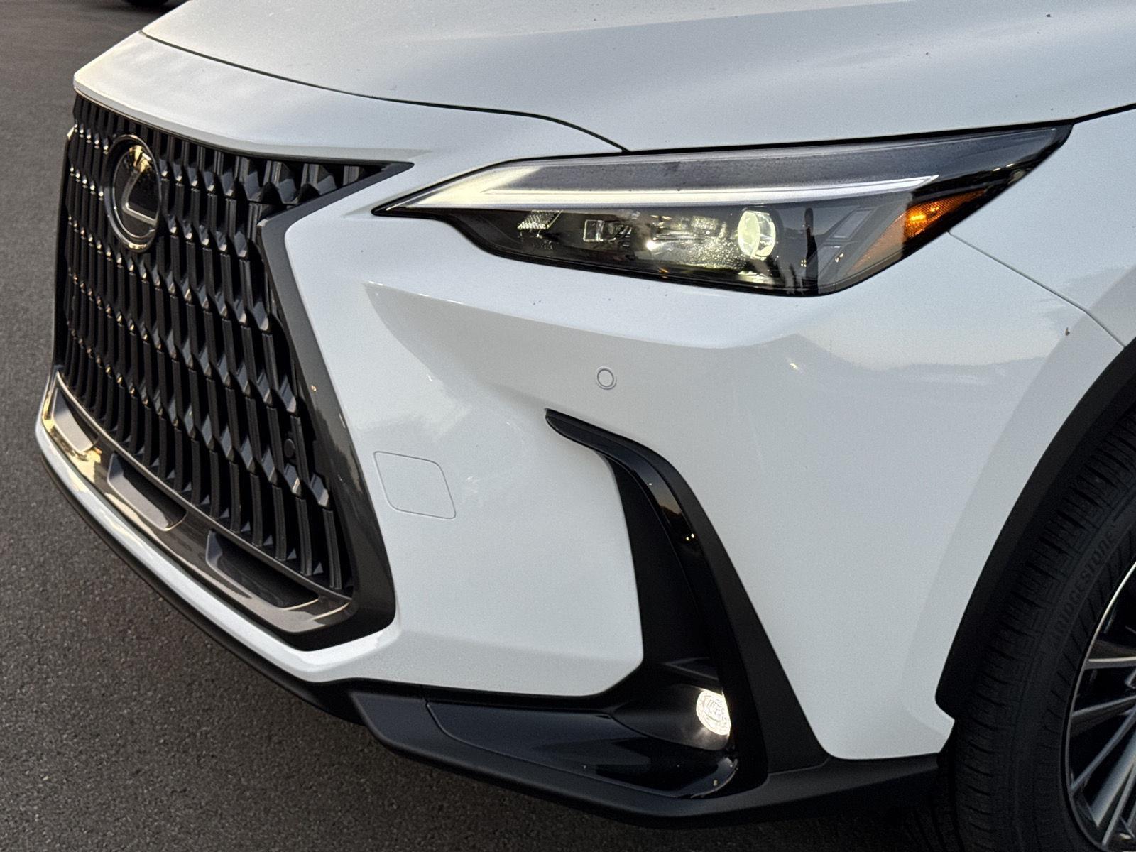 2026 Lexus NX 350h photo 8