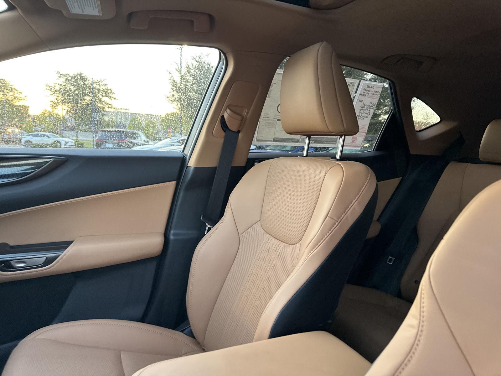 2026 Lexus NX 350h photo 14