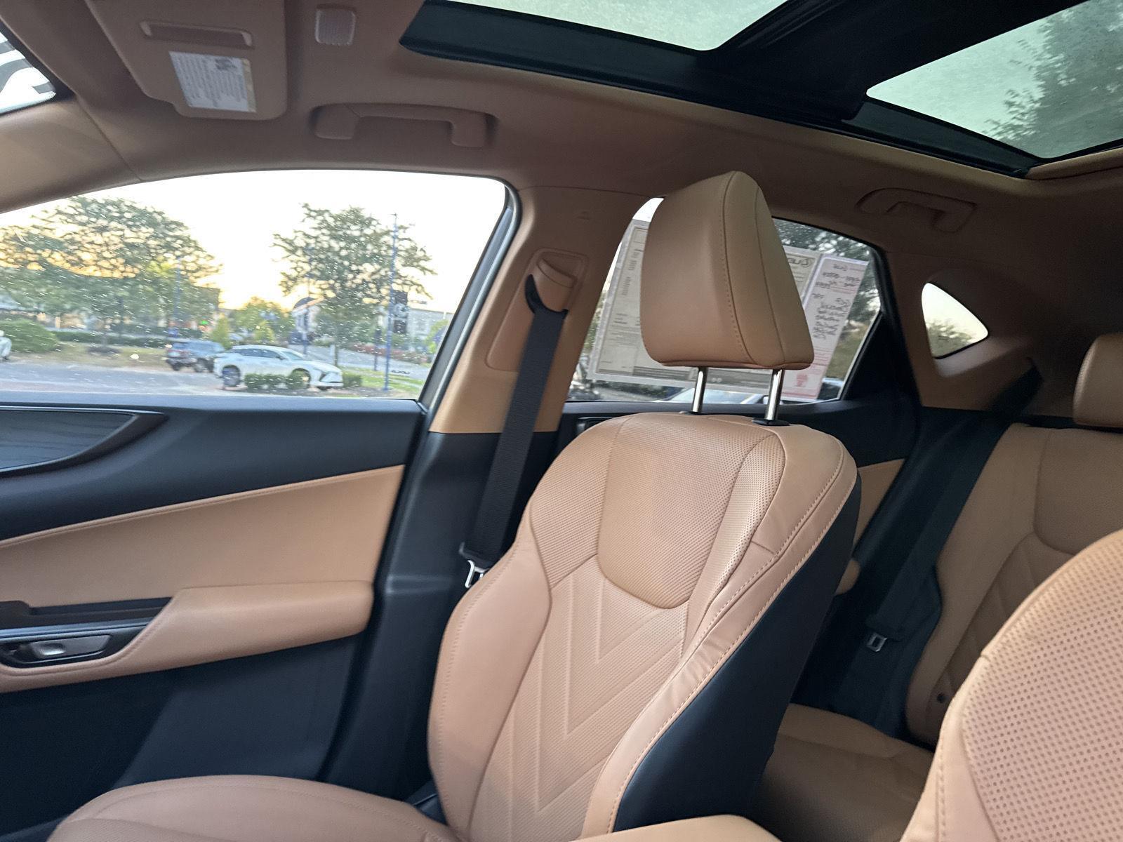 2026 Lexus NX 350 Luxury photo 18