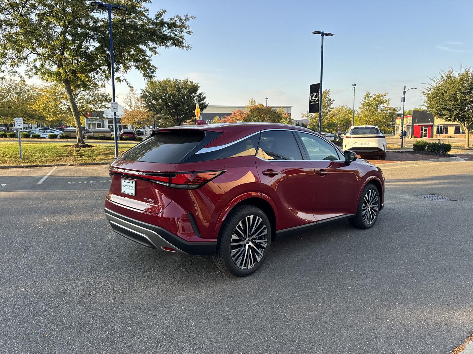 2025 Lexus RX 350 photo 5