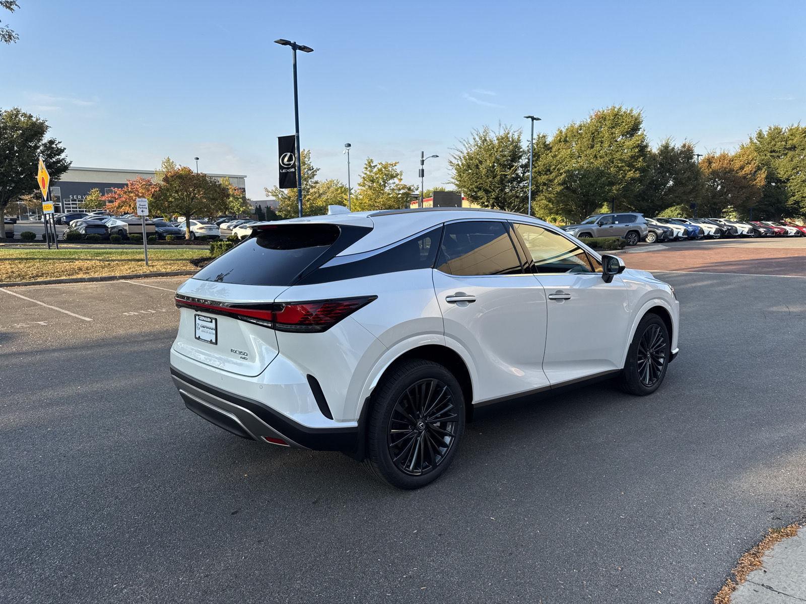 2025 Lexus RX 350 Premium AWD photo 5