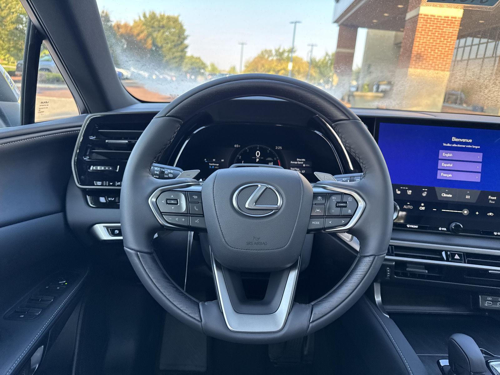 2025 Lexus RX 350 Premium AWD photo 17