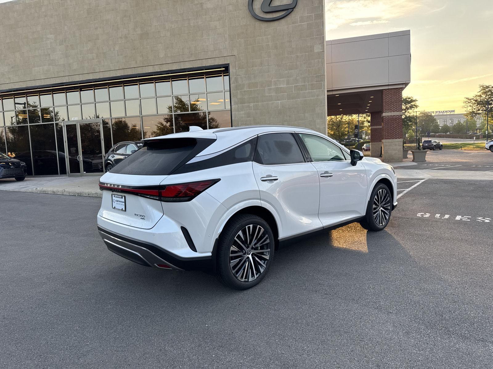 2025 Lexus RX 350 photo 5