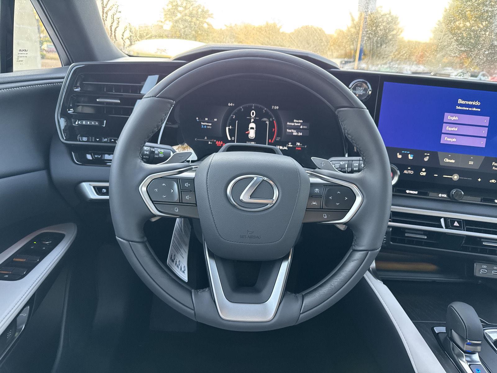 2025 Lexus RX 350 photo 18