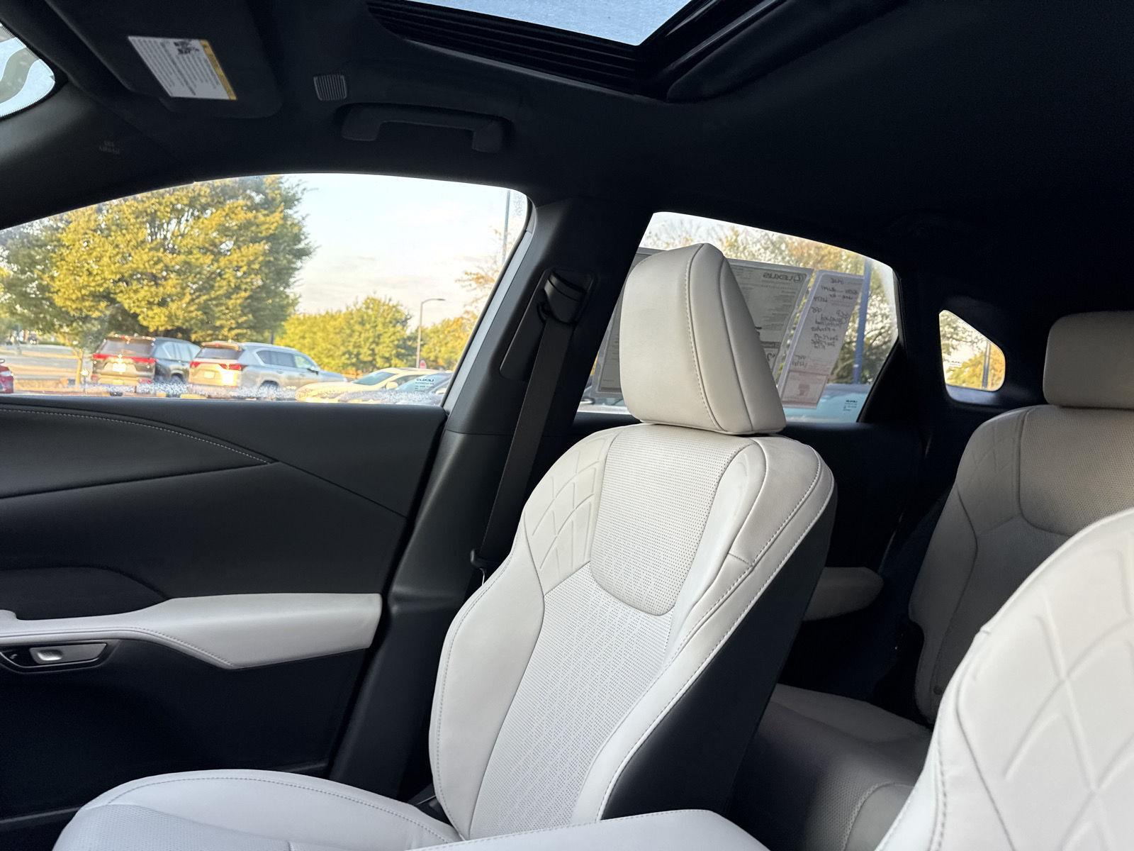 2025 Lexus RX 350 photo 19