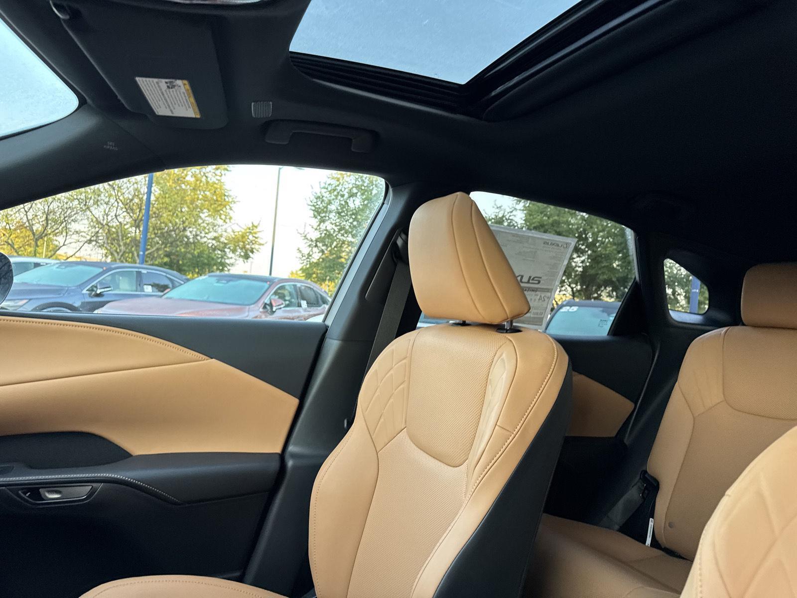 2025 Lexus RX 350 Premium photo 18