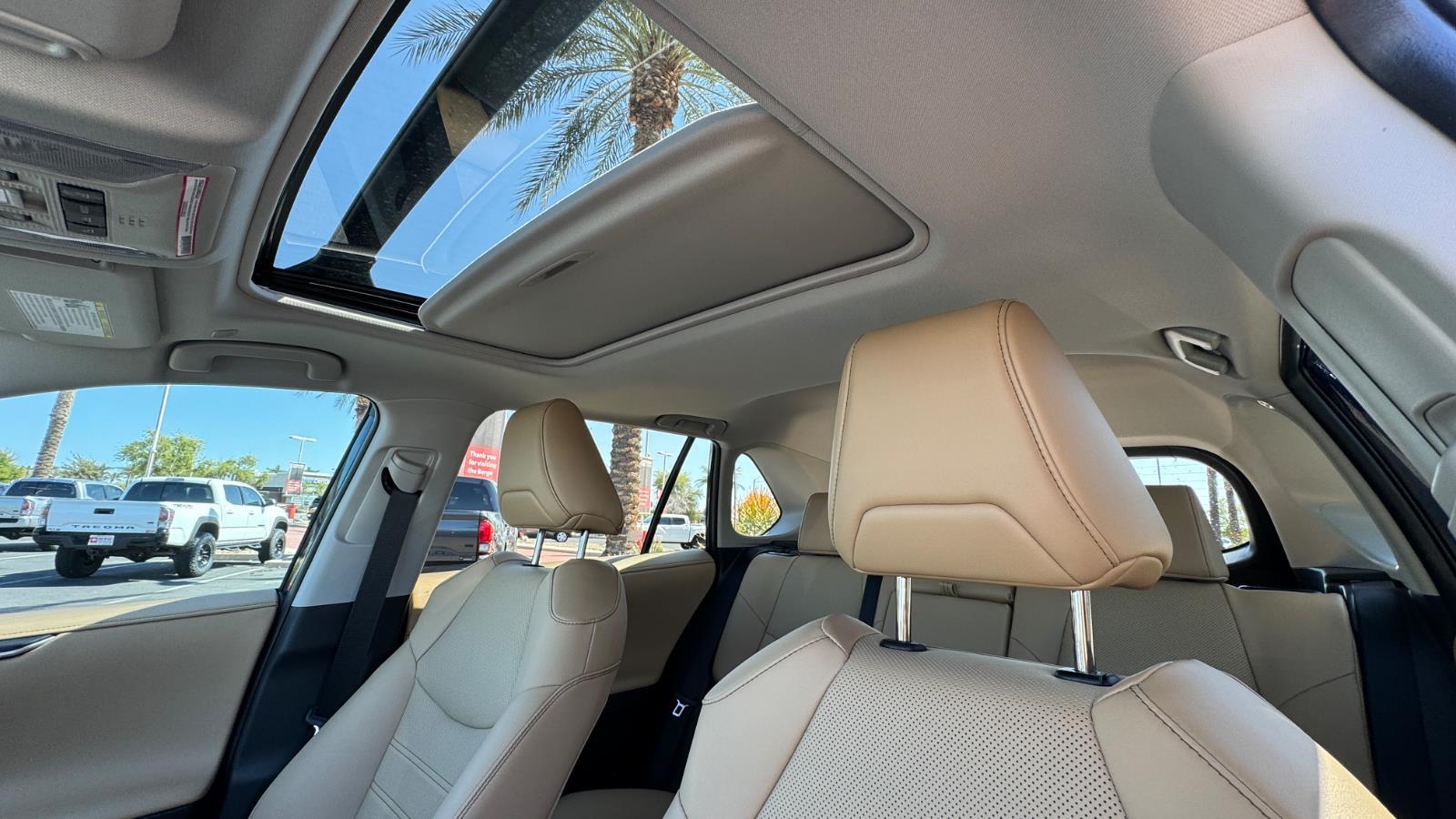 2025 Toyota RAV4 Limited photo 15