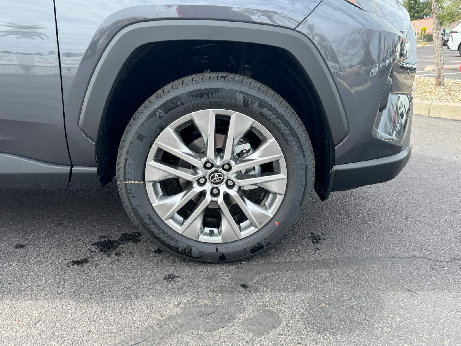 2025 Toyota RAV4 Limited photo 5