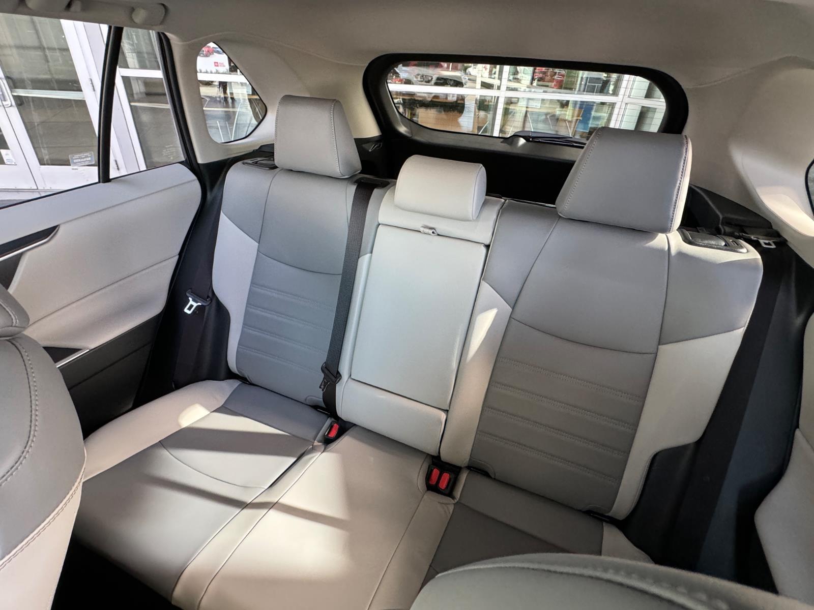 2025 Toyota RAV4 Hybrid XLE Premium photo 18