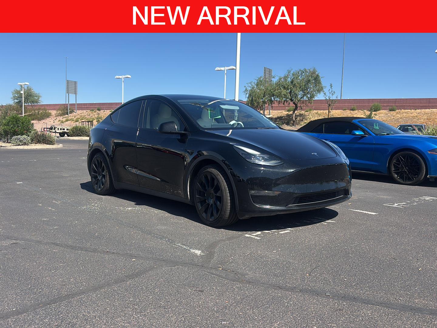 2023 Tesla Model Y's photo
