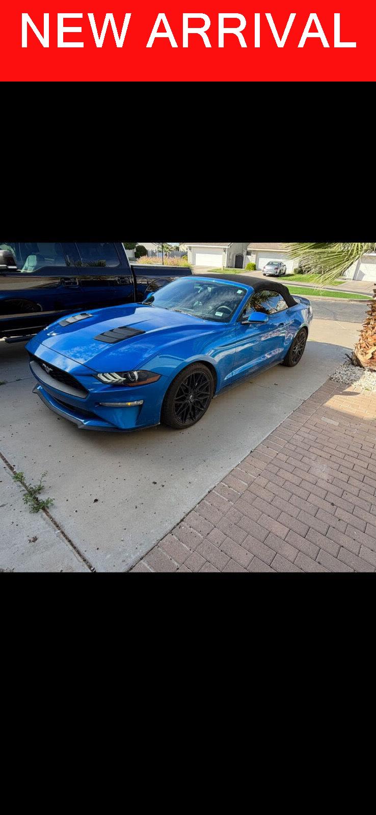 2019 Ford Mustang EcoBoost Convertible's photo