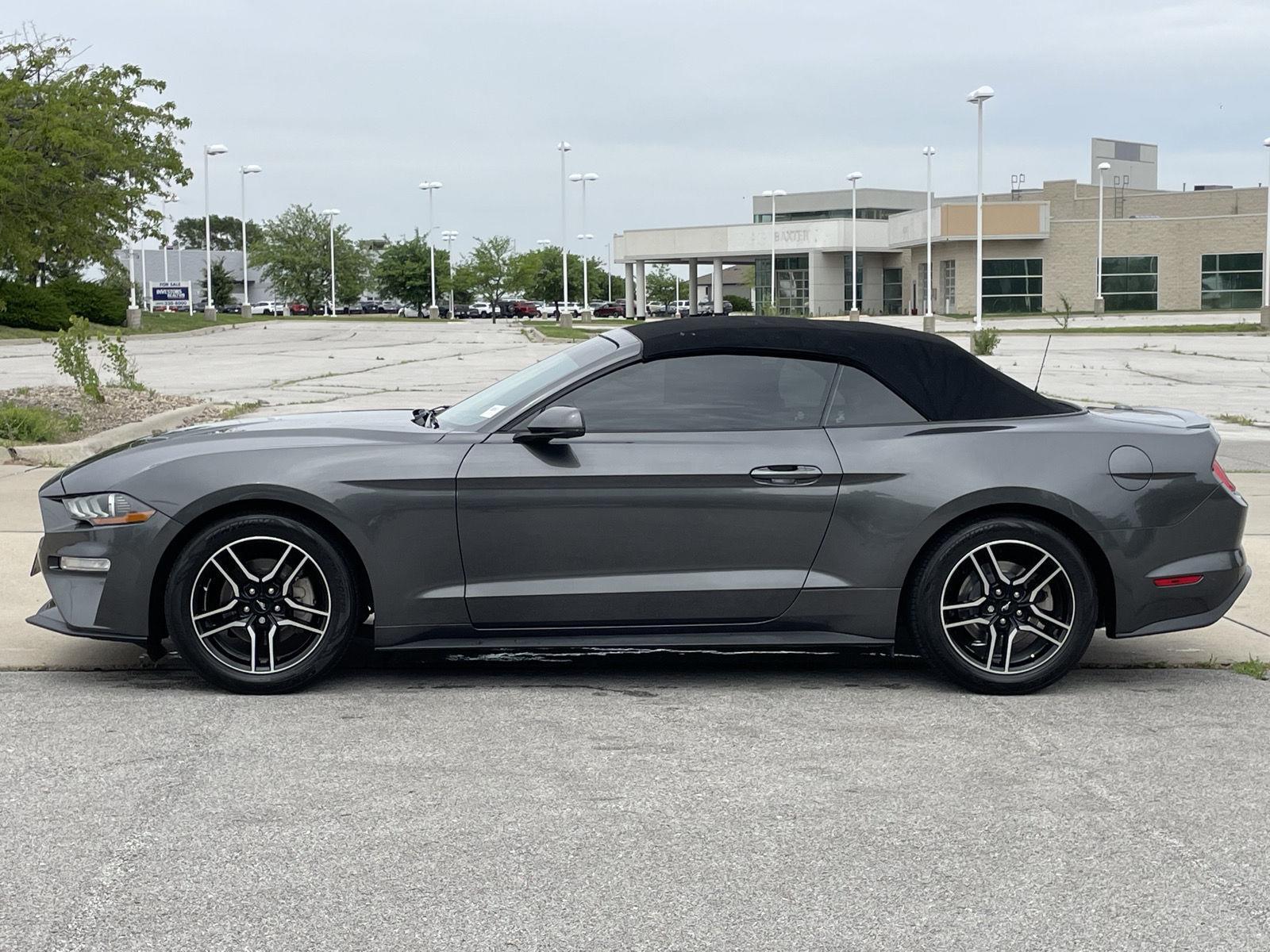 Used 2019 Ford Mustang for sale in St. Joseph MO