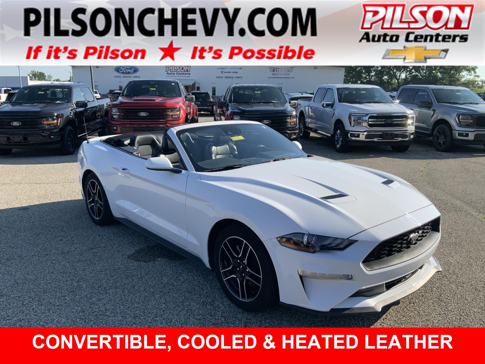 2022 Ford Mustang EcoBoost Premium Convertible RWD
