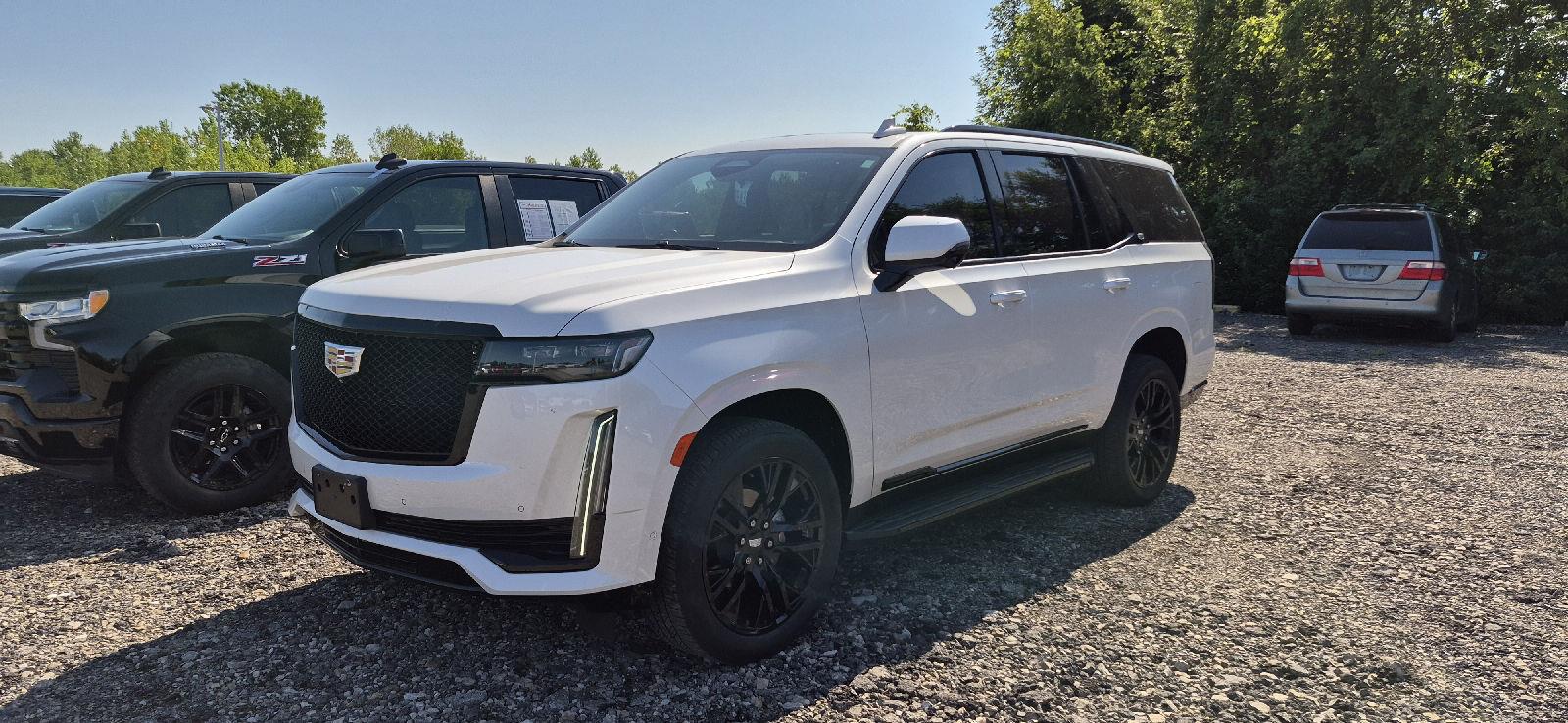 Crystal White Tricoat 2021 Cadillac Escalade SUV / Crossover Four-Wheel Drive Automatic