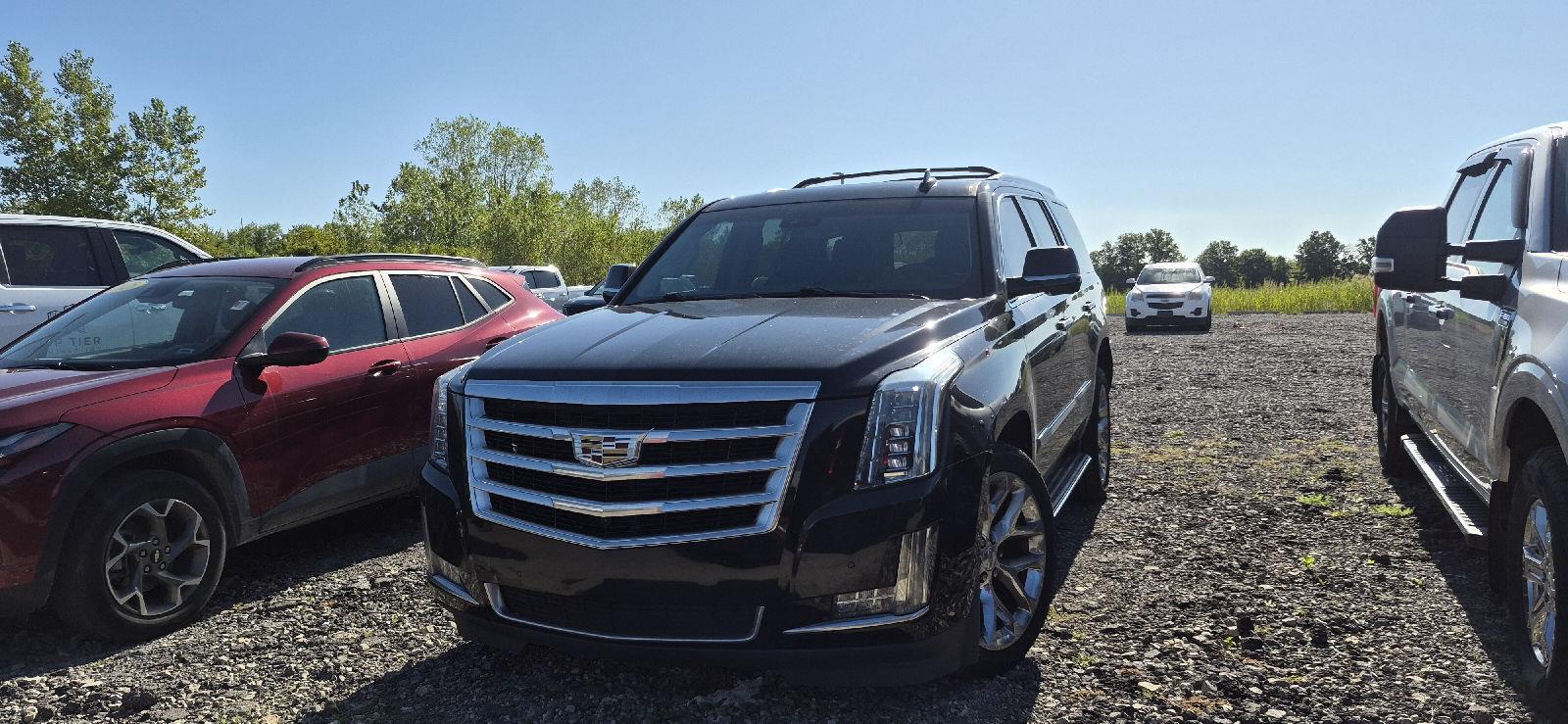 Black Raven 2020 Cadillac Escalade SUV / Crossover Four-Wheel Drive Automatic