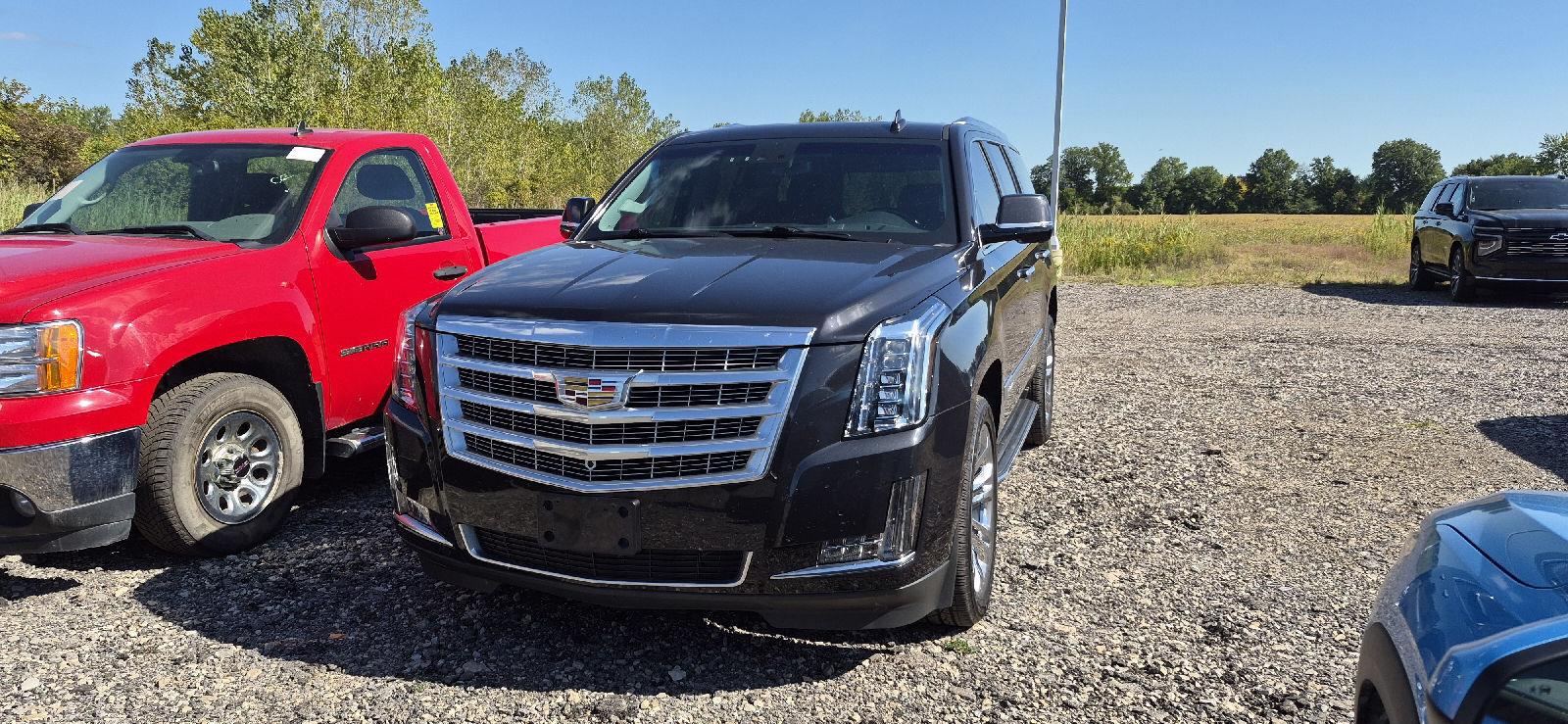 Manhattan Noir Metallic 2019 Cadillac Escalade SUV / Crossover Four-Wheel Drive Automatic
