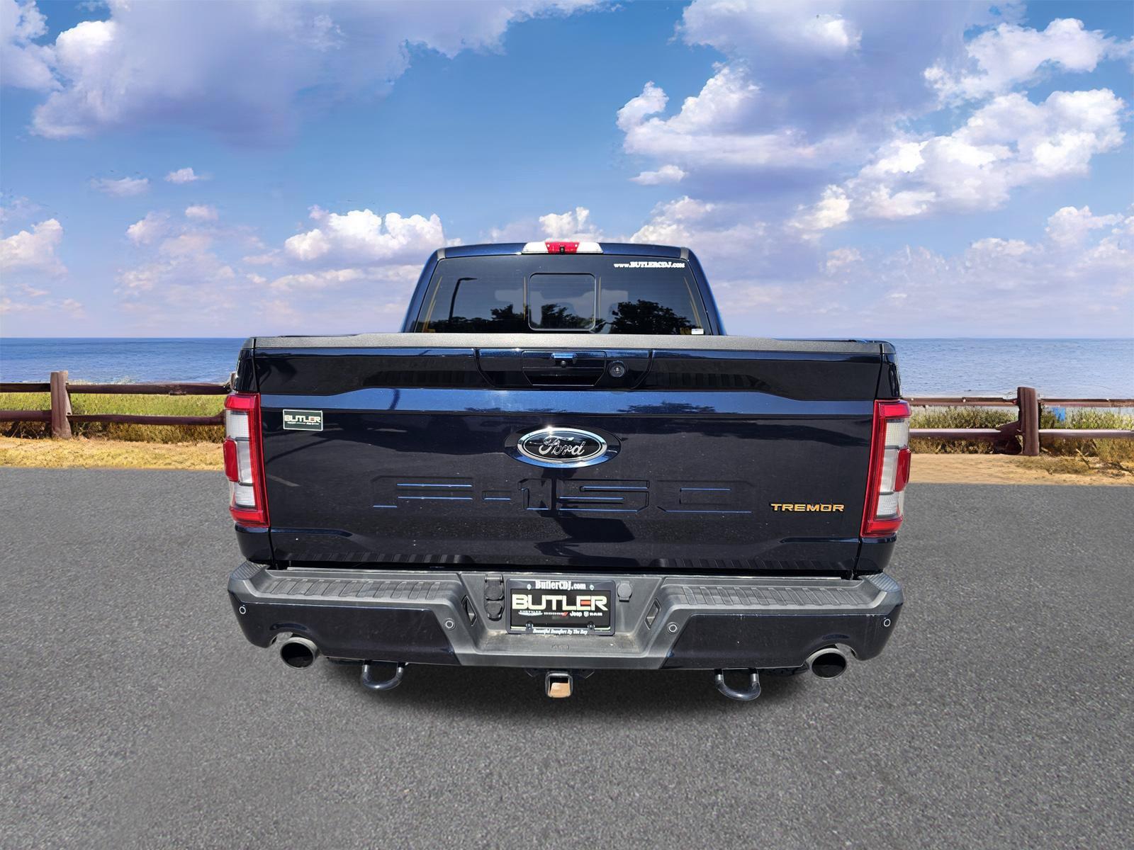 Used 2021 Ford F-150 Truck