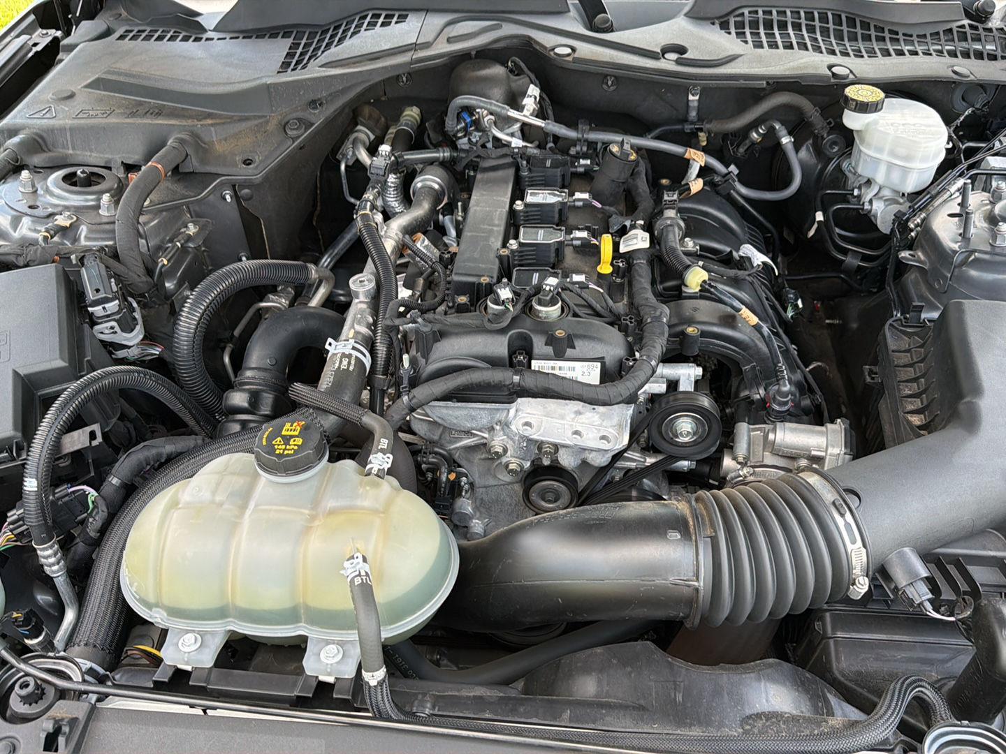 Used 2021 Ford Mustang Sedan