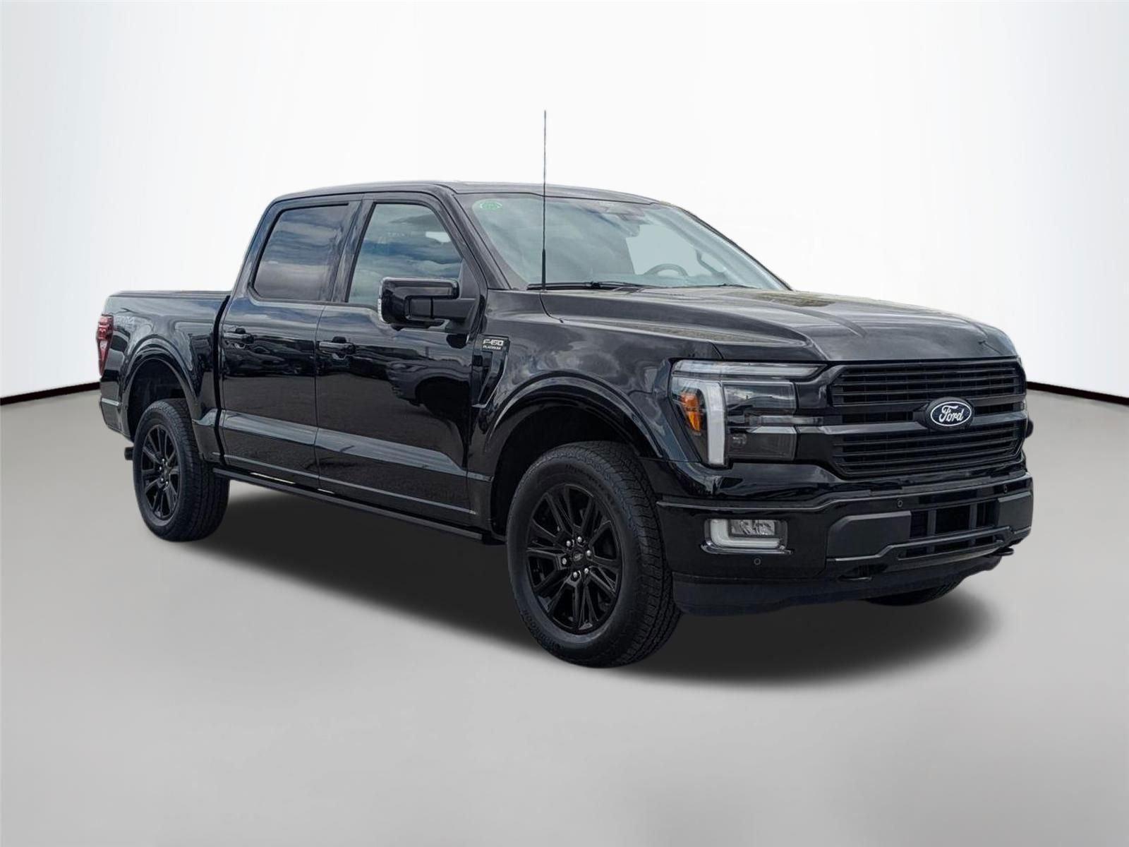 New 2026 Agate Black Metallic Ford Platinum image 3
