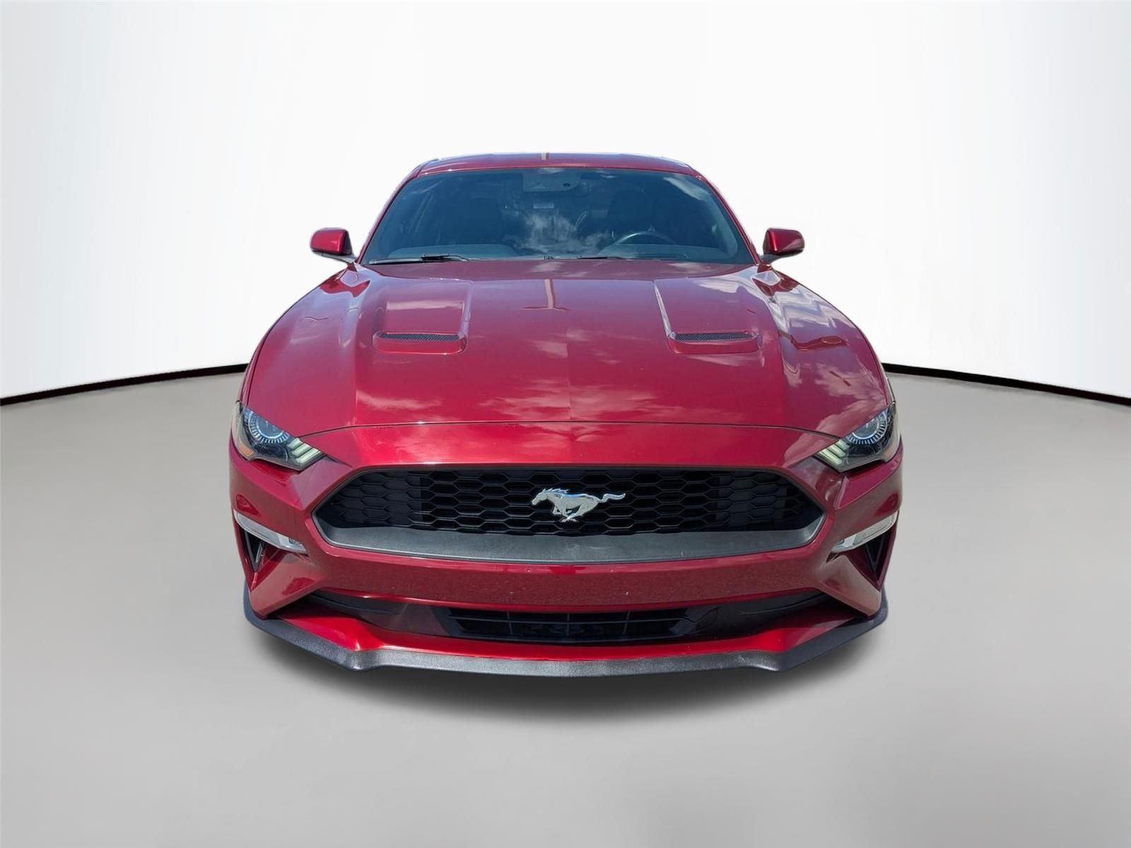 Used 2019 Ruby Red Metallic Tinted Clearcoat Ford EcoBoost Premium image 2
