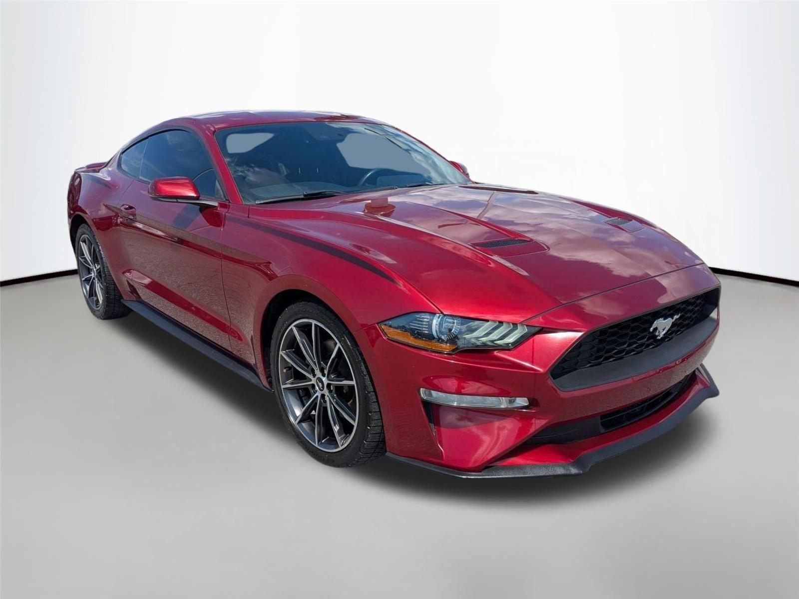 Used 2019 Ruby Red Metallic Tinted Clearcoat Ford EcoBoost Premium image 3