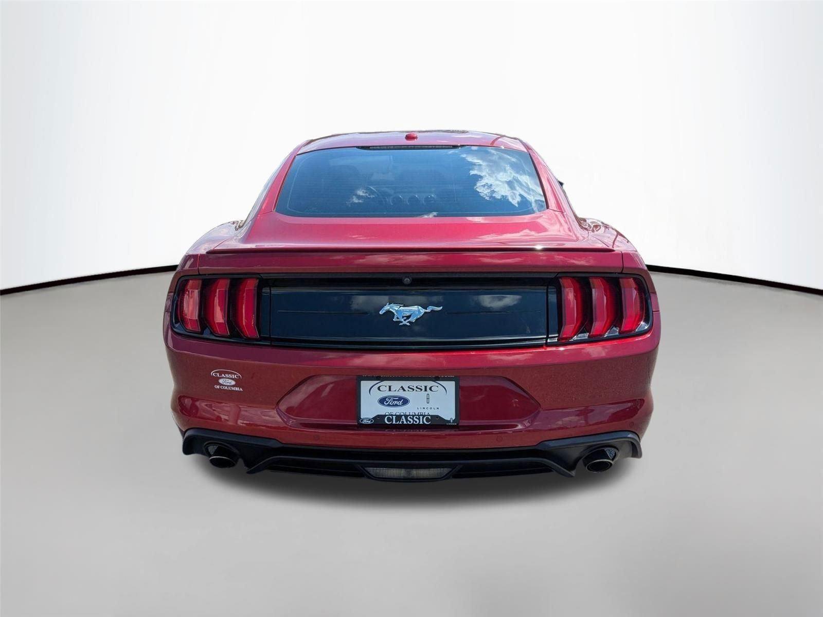Used 2019 Ruby Red Metallic Tinted Clearcoat Ford EcoBoost Premium image 6
