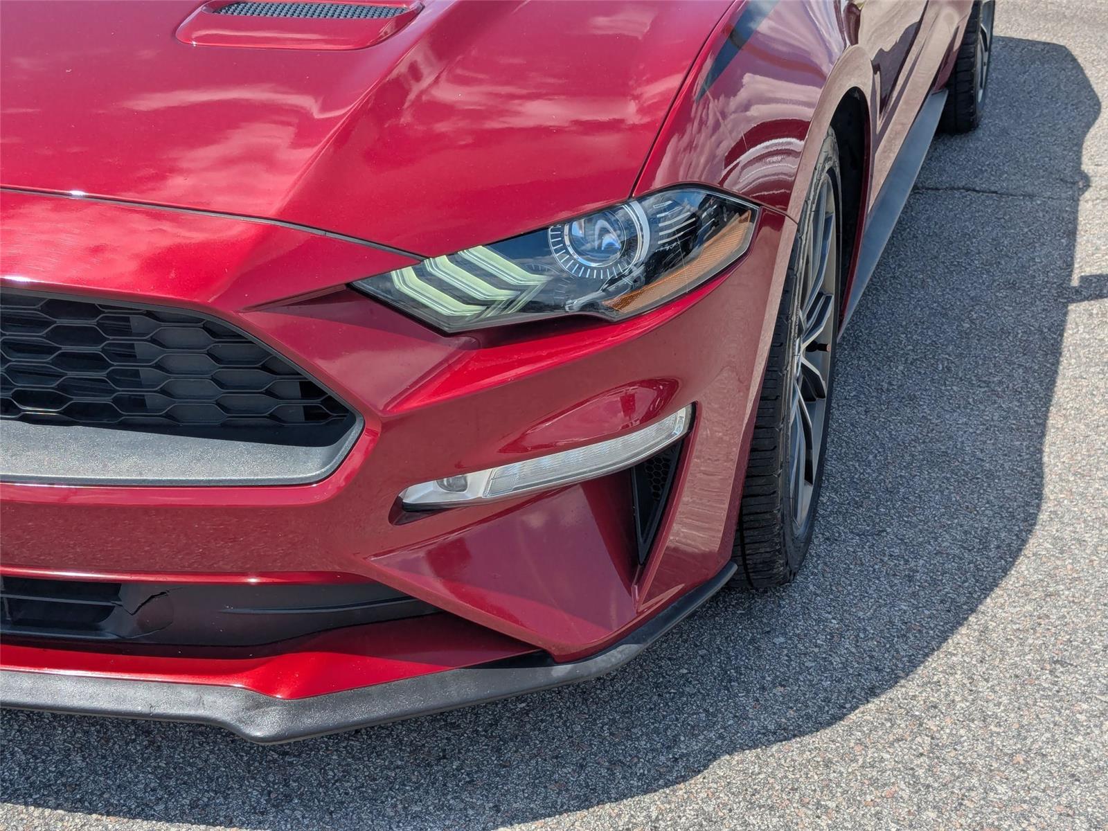 Used 2019 Ruby Red Metallic Tinted Clearcoat Ford EcoBoost Premium image 9