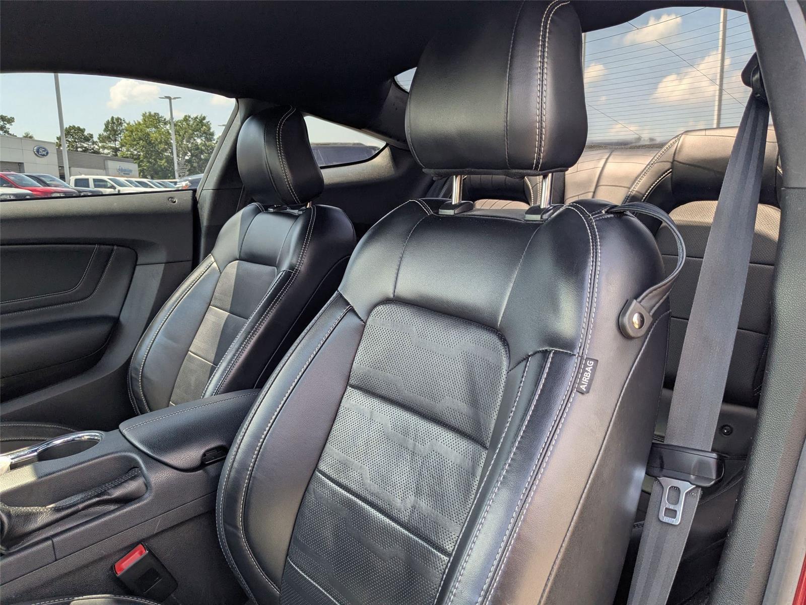 Used 2019 Ruby Red Metallic Tinted Clearcoat Ford EcoBoost Premium image 14
