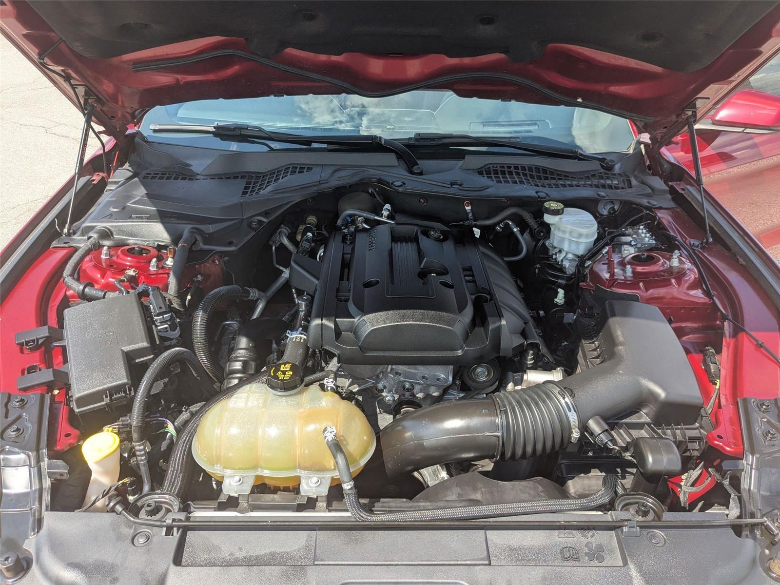 Used 2019 Ruby Red Metallic Tinted Clearcoat Ford EcoBoost Premium image 32