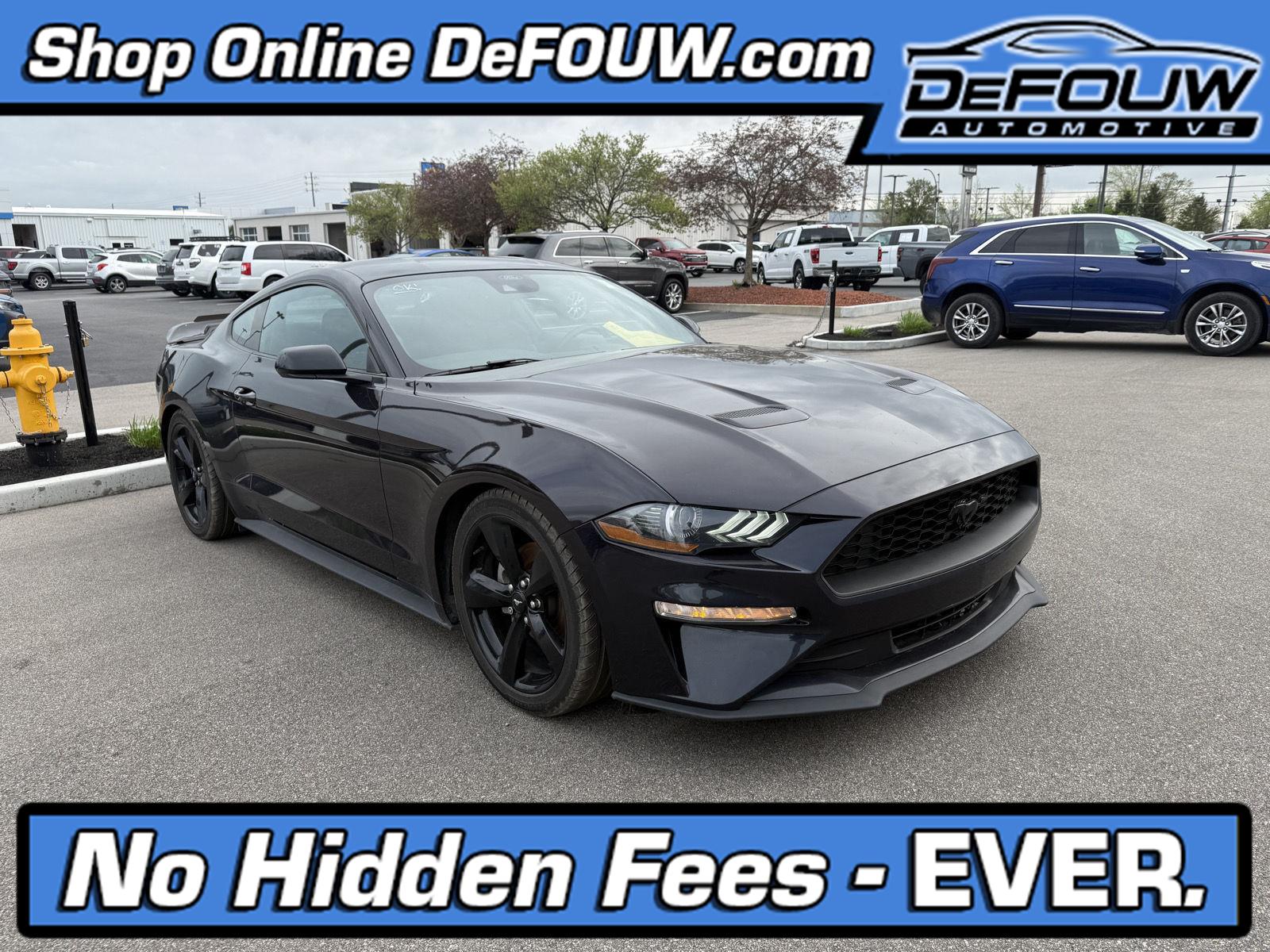 Mischievous Purple 2023 Ford Mustang EcoBoost Fastback RWD Coupe Rear-Wheel Drive 6-Speed Manual