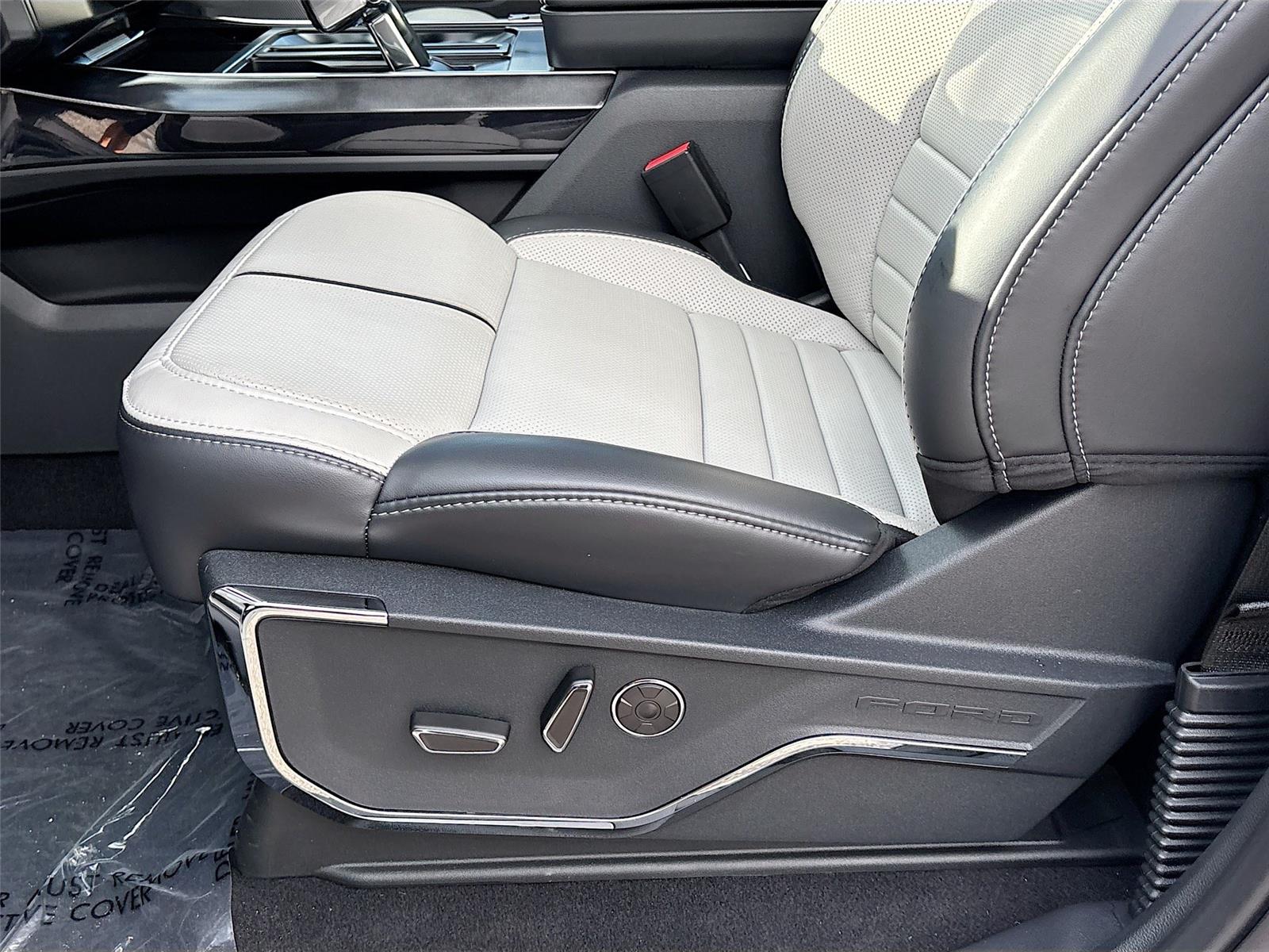 Ford F-150 Lightning Platinum