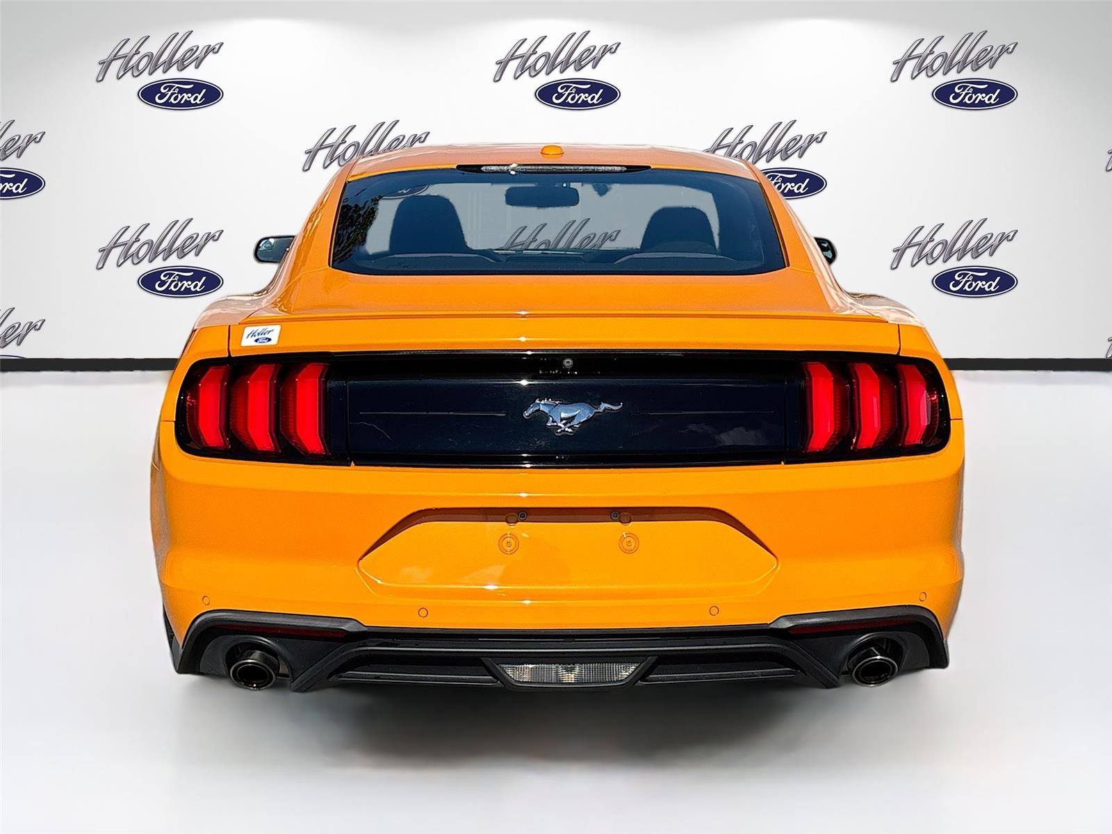 2019 Ford Mustang EcoBoost