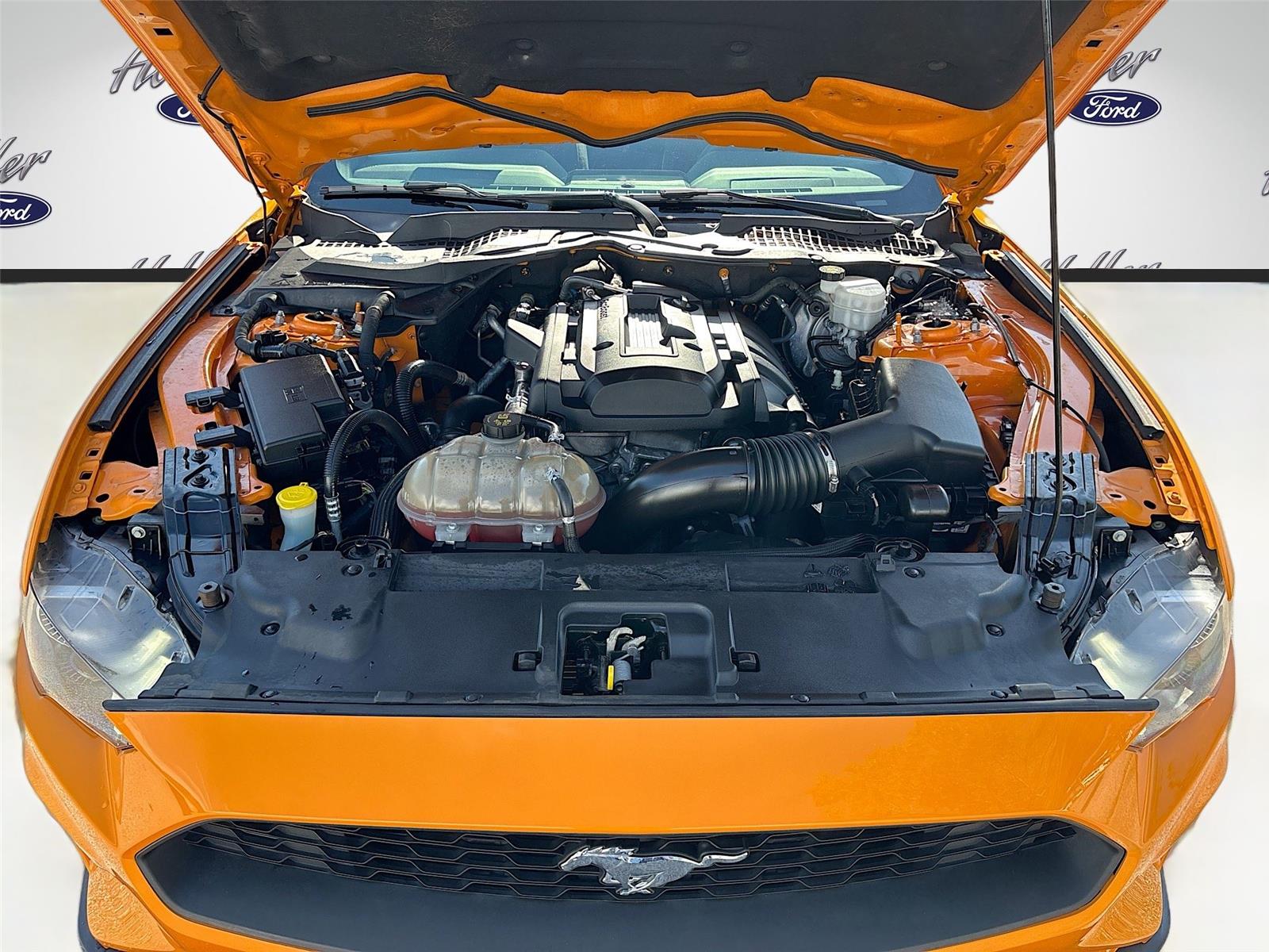 2019 Ford Mustang EcoBoost