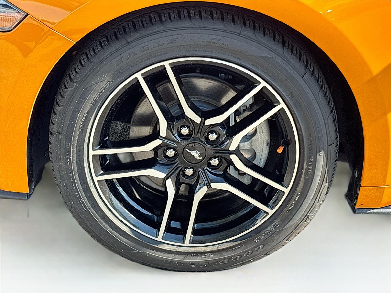 2019 Ford Mustang EcoBoost