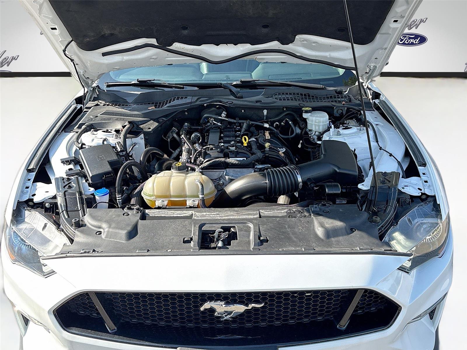 2023 Ford Mustang EcoBoost Premium