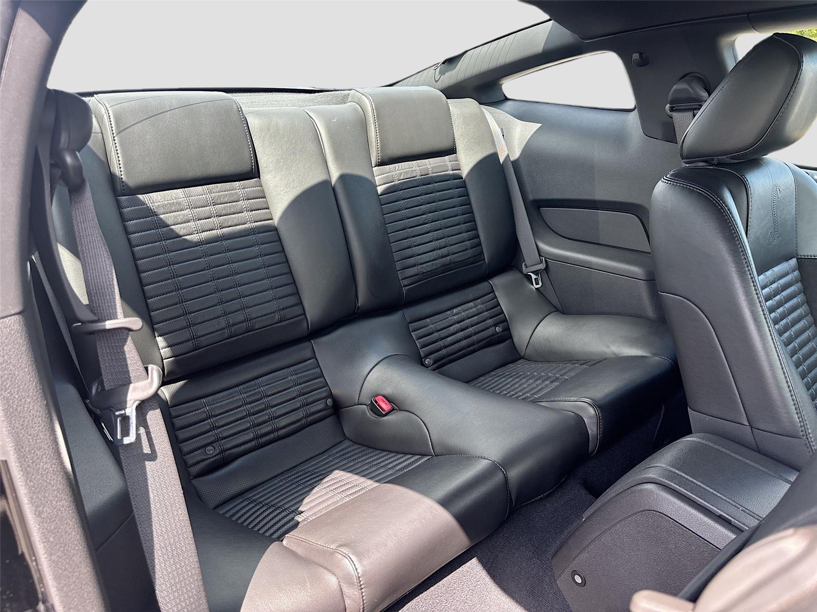 2010 Ford Shelby GT500 Base