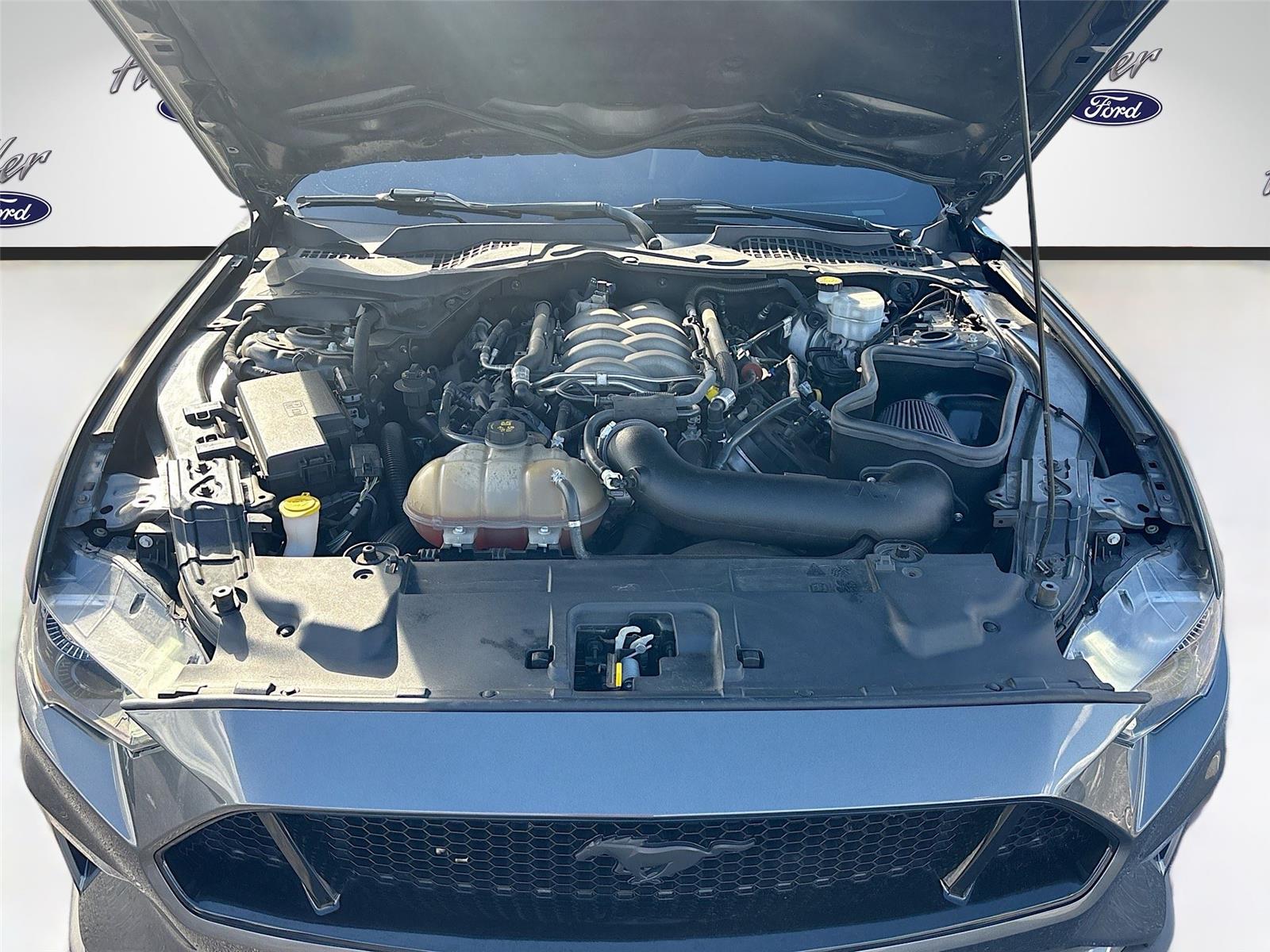 2019 Ford Mustang GT