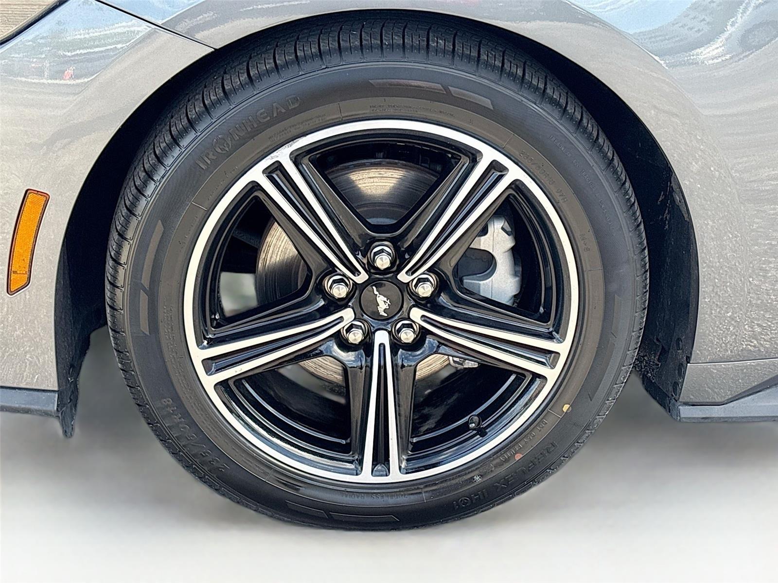 2025 Ford Mustang EcoBoost Premium