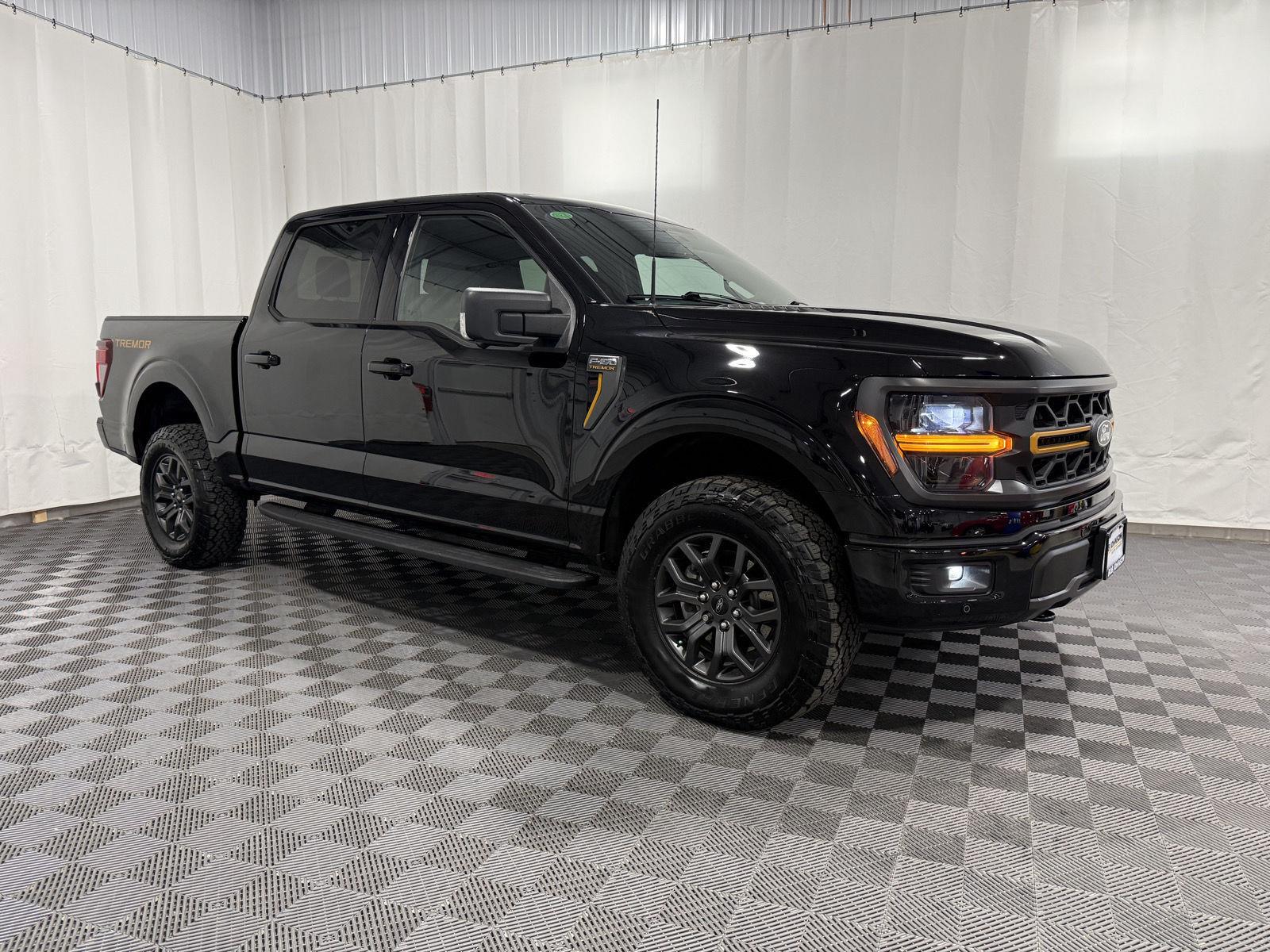 Agate Black 2025 Ford F-150 Pickup Truck Four-Wheel Drive Automatic