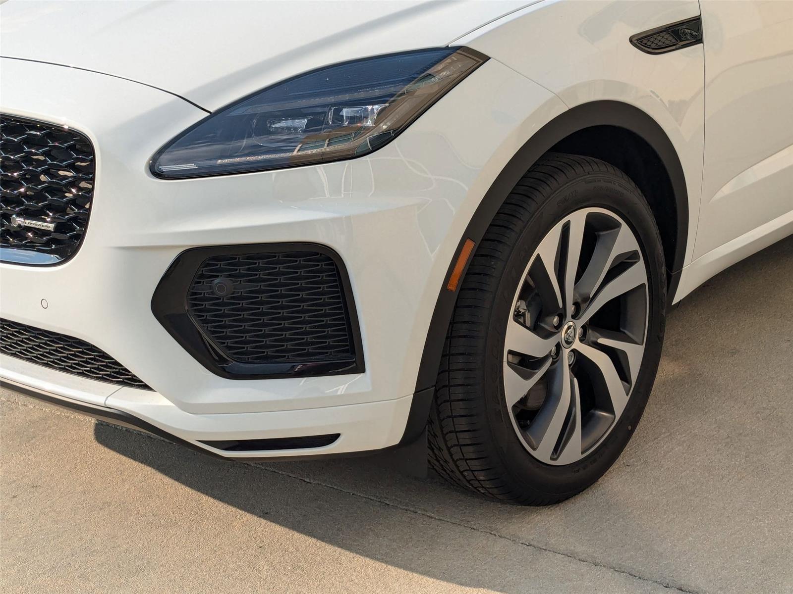 Used 2024 WHITE JAGUAR  image 9