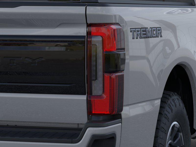 New 2026 Avalanche Gray Ford Platinum image 21