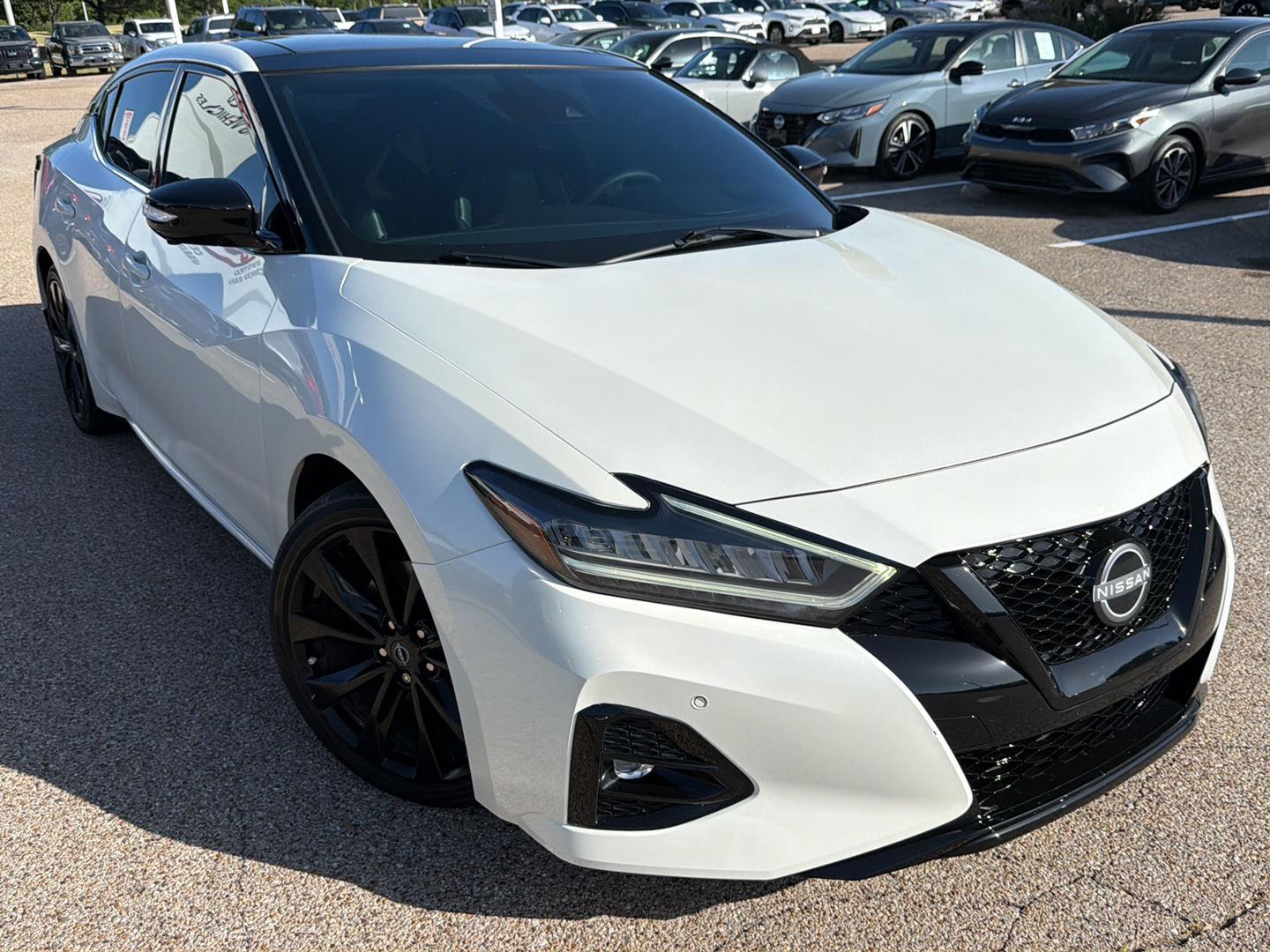 Pearl White Tricoat 2023 Nissan Maxima Sedan Front-Wheel Drive Continuously Variable Transmission