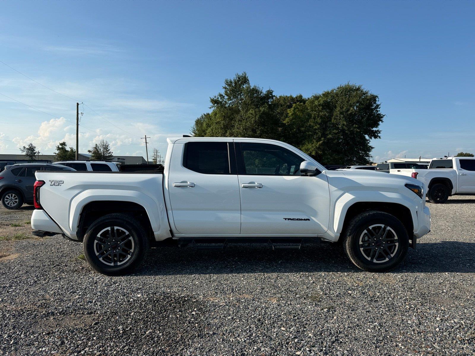 Used 2025 Toyota Tacoma Truck