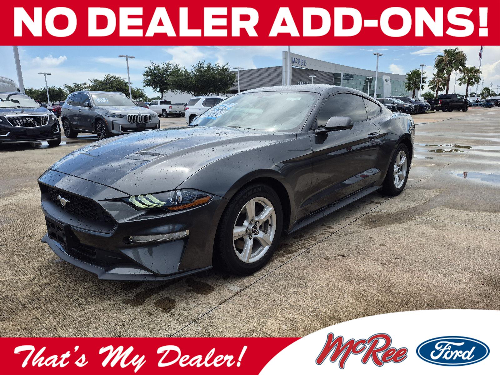 Gray (Magnetic) 2019 Ford Mustang Coupe Rear-Wheel Drive 6-Speed Manual