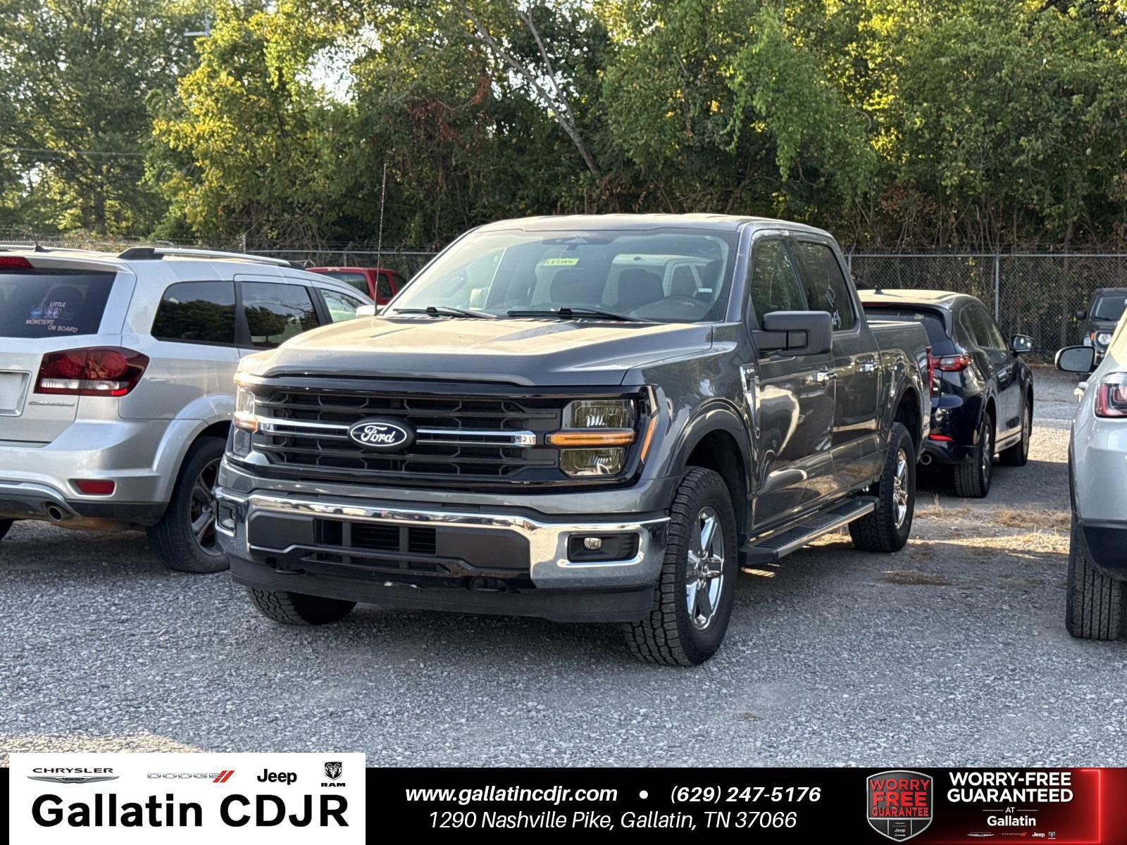 Gray 2025 Ford F-150 Pickup Truck Four-Wheel Drive Automatic