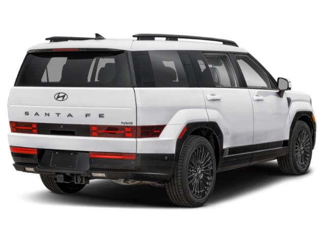 New 2026 Rockwood Green Hyundai Calligraphy image 85