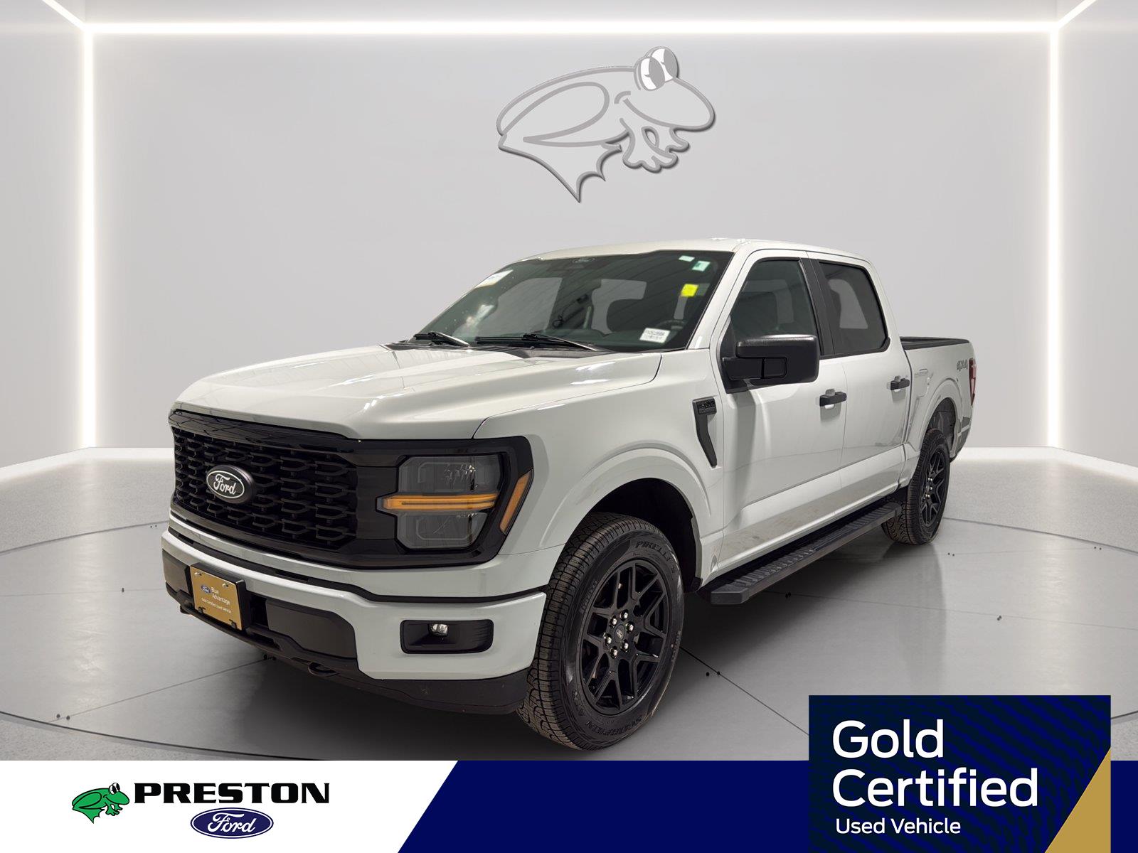 2024 Ford F-150 Gris (Avalanche Gray) Camioneta Todo terreno Automática