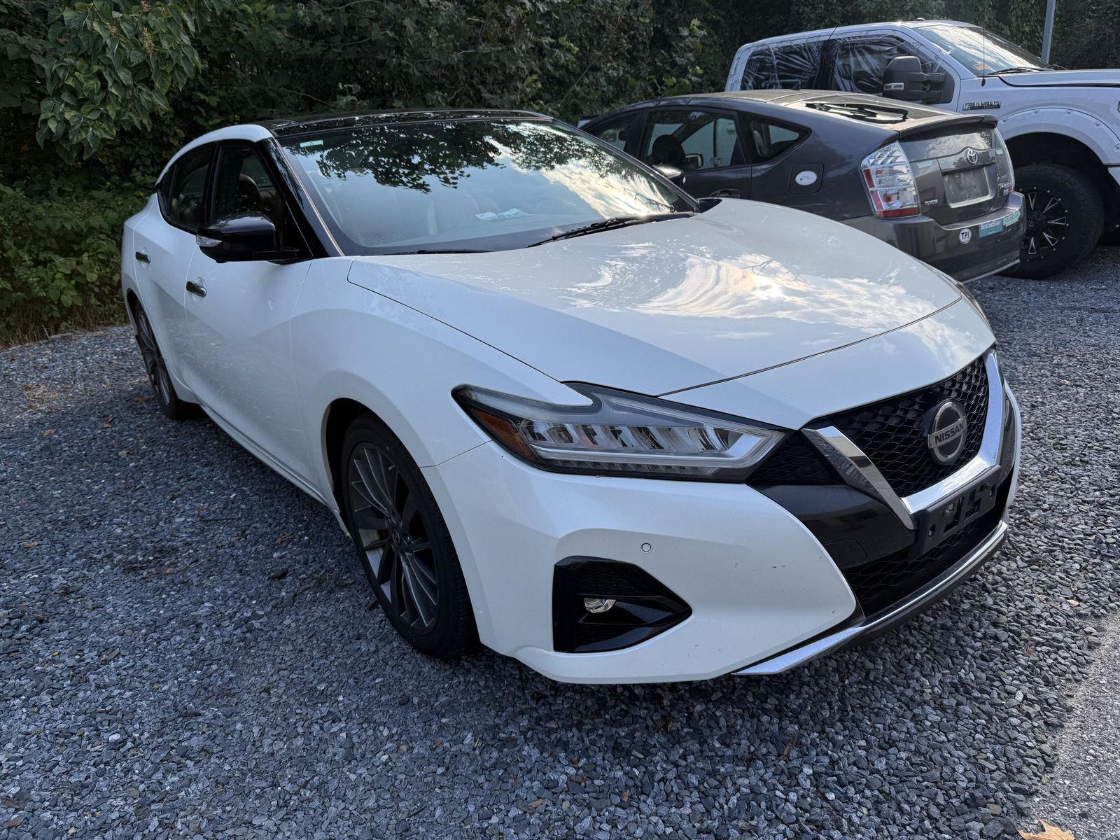 Pearl White Tricoat 2019 Nissan Maxima Sedan Front-Wheel Drive Continuously Variable Transmission
